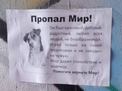 Фото Объявление О Пропаже